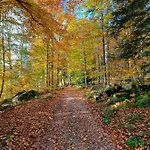 Zum Alten Waerterhaus * Forbach