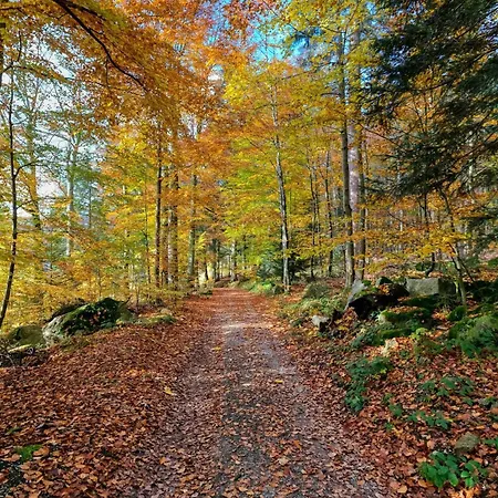 Zum Alten Waerterhaus * Forbach